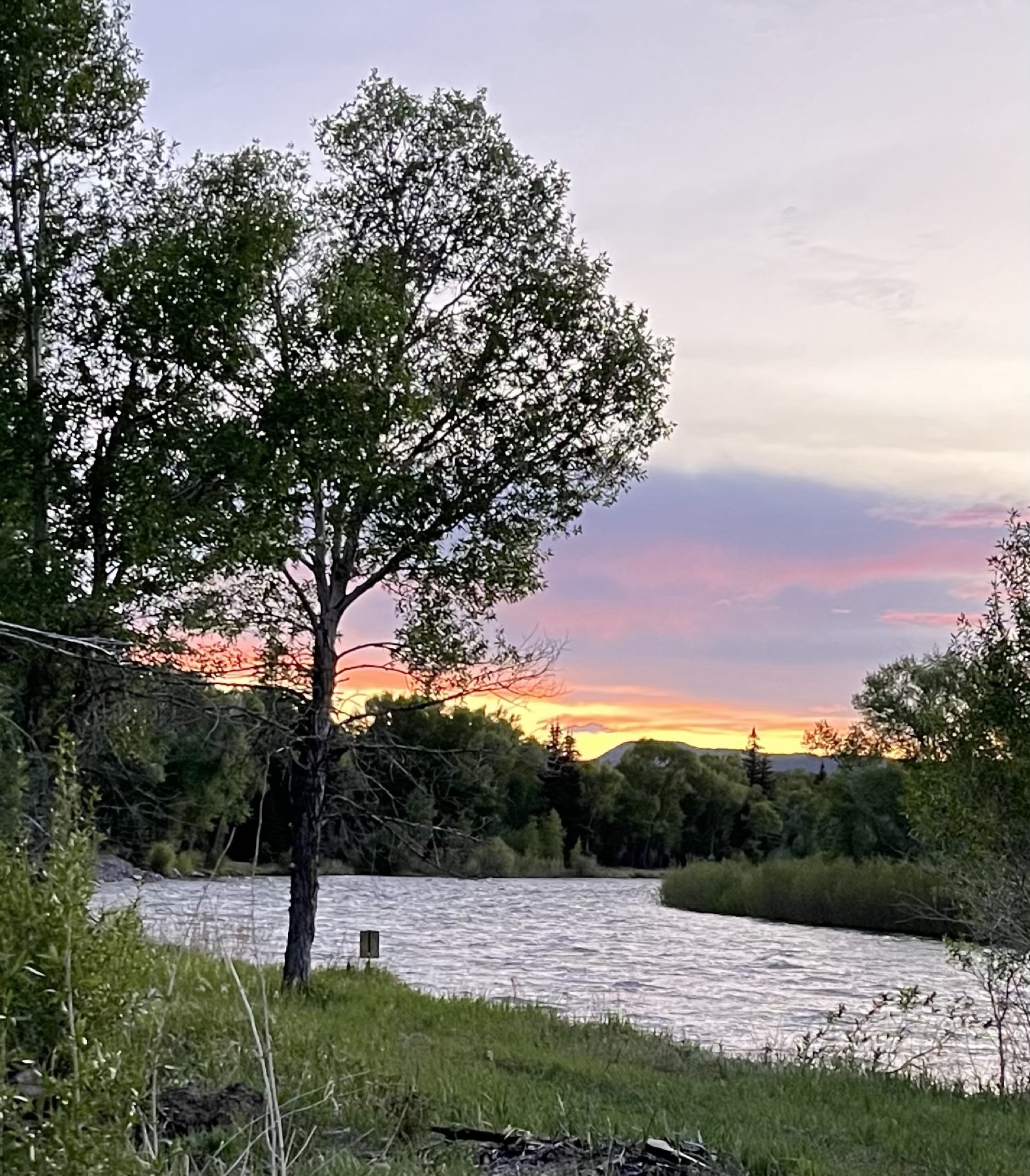 Sunset over the Rio Grande with cottonwoods along the bank
